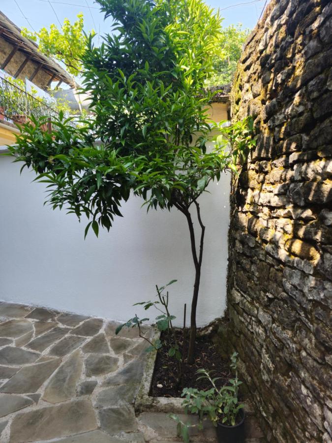 Traditional House Shapllo Gjirokastër 外观 照片