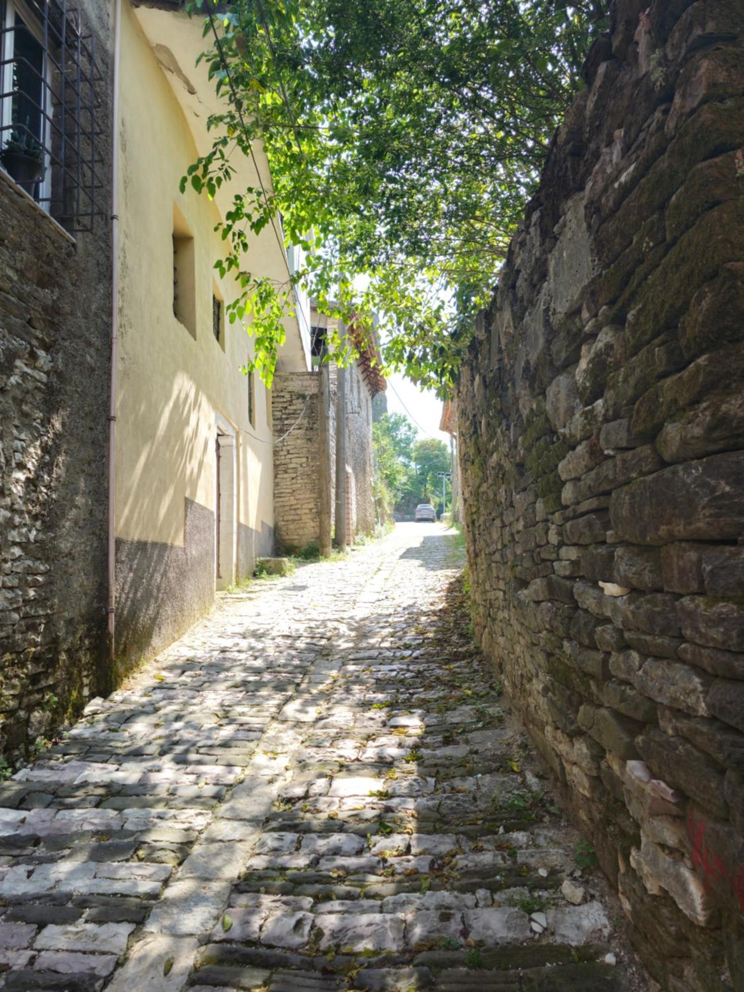 Traditional House Shapllo Gjirokastër 外观 照片